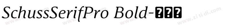 SchussSerifPro Bold字体转换